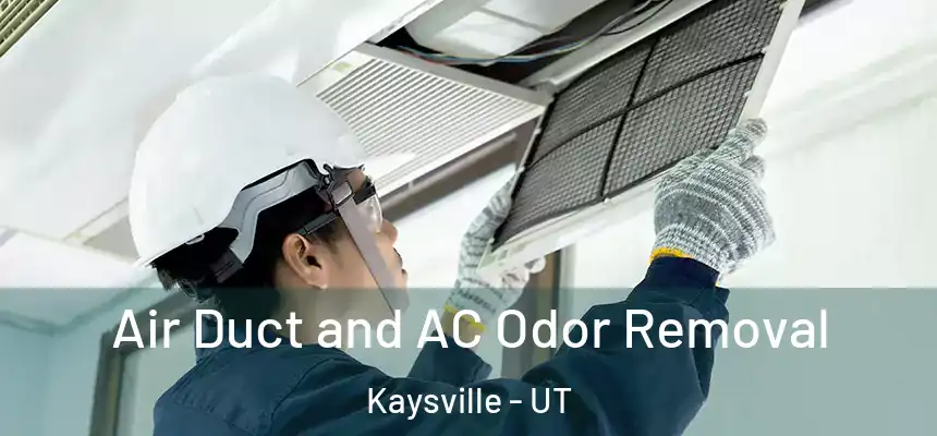  Air Duct and AC Odor Removal Kaysville - UT