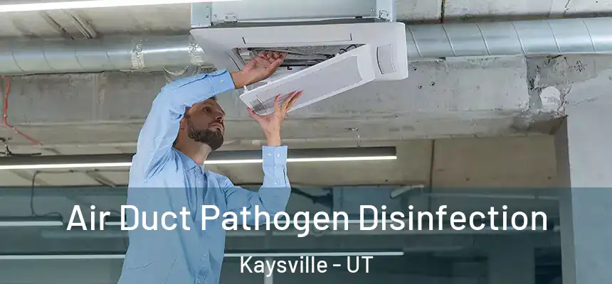  Air Duct Pathogen Disinfection Kaysville - UT