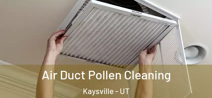  Air Duct Pollen Cleaning Kaysville - UT