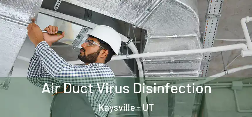  Air Duct Virus Disinfection Kaysville - UT