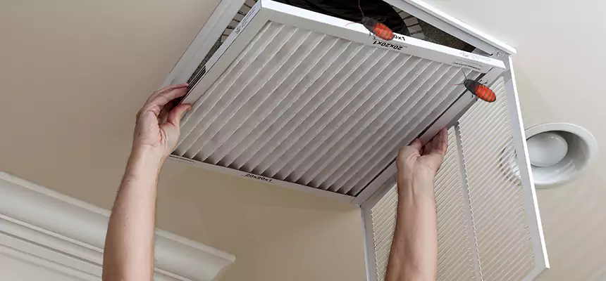 Preventive Cockroach-Proofing for Ducts in Kaysville