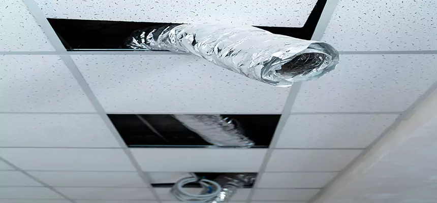 Our Air Duct Pet Hair Removal Services in Kaysville, UT