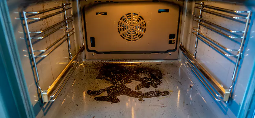 Our Dryer Vent Mold Cleaning Services in Kaysville, UT