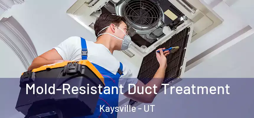  Mold-Resistant Duct Treatment Kaysville - UT