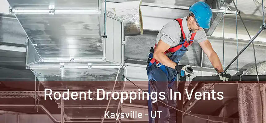  Rodent Droppings In Vents Kaysville - UT