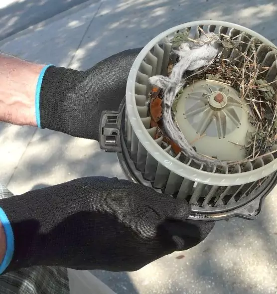 About Air Duct Mice Removal in Kaysville, UT