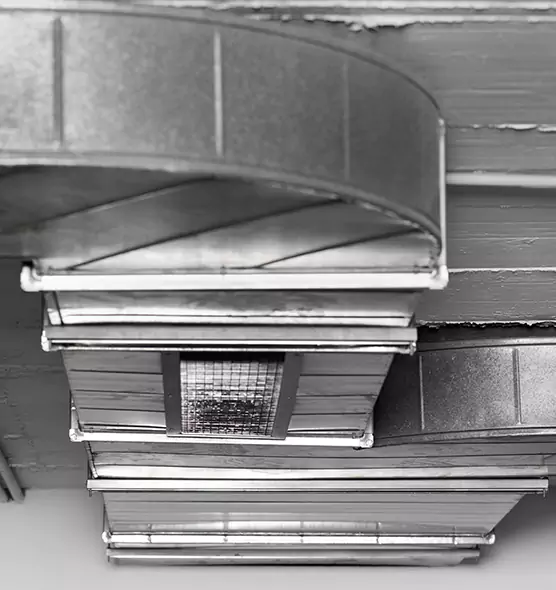 Professional Air Duct Pet Hair Removal in Kaysville, UT