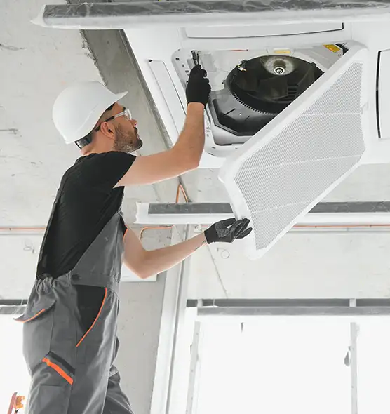 About Air Duct Rodent Removal in Kaysville, UT