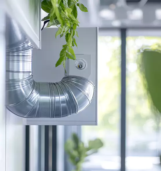 Professional Eco-Safe Dryer Vent Cleaning in Kaysville, UT