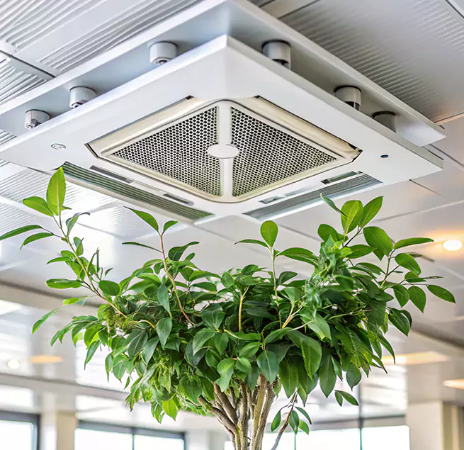 Why Homeowners & Businesses Trust Us in Kaysville, UT?