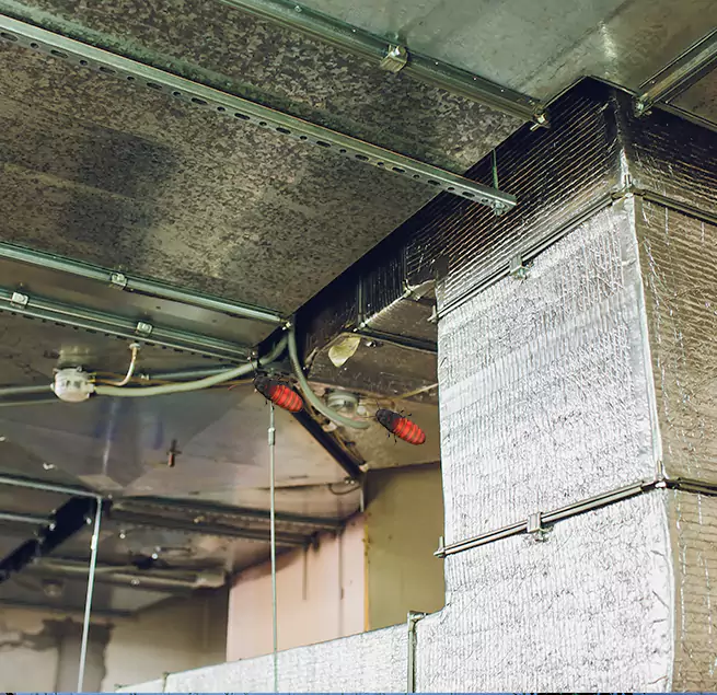 Why Homeowners & Businesses Trust Us Kaysville, UT?